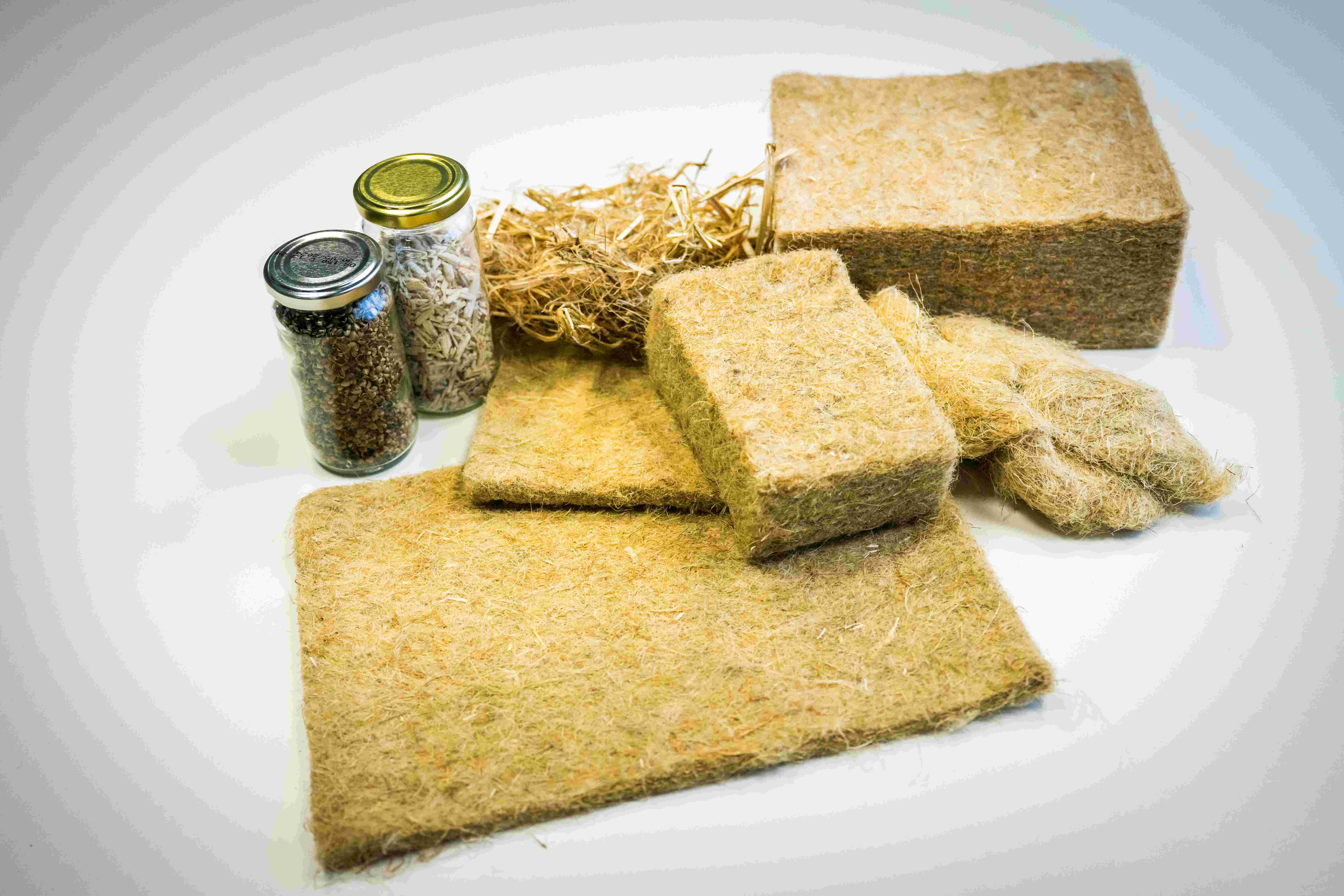 Architecten tekenen voor Biobased Bouwen in Oost-Nederland